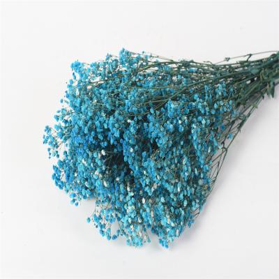 China Wholesale environmental protection green the latest processed flower dry babysbreath to wedding decoration in 2021 for sale