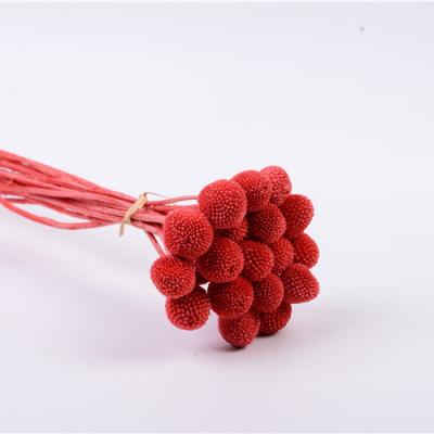 China Best Low Price Shooting Props Green Chinese Floral Gift Box Decoration Environmental Protection Golden Ball for sale