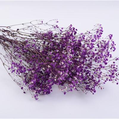 China New large bouquet arrived green fashion high quality environmental protection dry bouquet of gypsophila flowers for sale