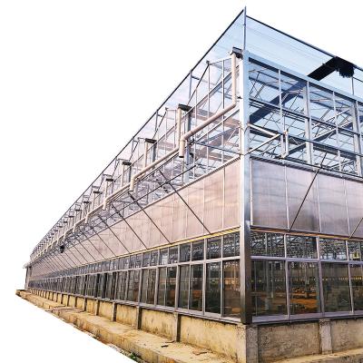 China Stable Structure Easily Assembled Metal Glass Greenhouse With Electric Greenhouse Equipment Multi-span Glass Greenhouse for sale