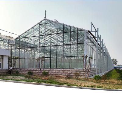 China Stable Structure Easily Assembled Greenhouse Price Multi-span Glass Greenhouse Venlo Glass Greenhouse For Sale for sale