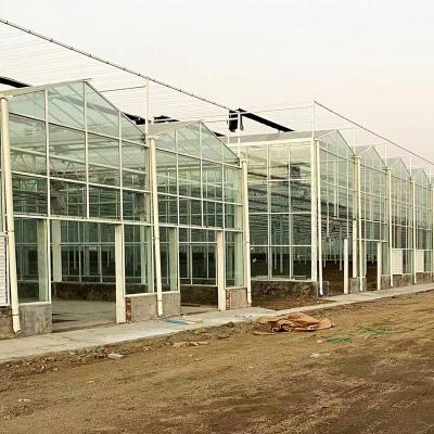 China Stable Structure Easily Assembled Greenhouse For Strawberry Multi-span Glass Greenhouse With Shade Netting For Agricultural Greenhouse for sale