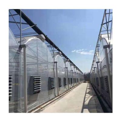 China Fruits Flowers China Factory Large Garden Vegetable Supply Customized Multi Span Solar Panel Greenhouse for sale