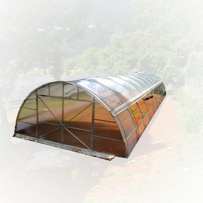 China Stable Structure Easily Assembled Sing-Span Commercial Plastic Film Greenhouse Agricultural Tunnels for sale