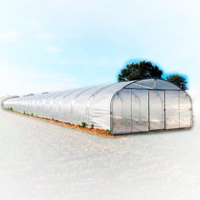 China Stable Structure Easily Assembled Single-Span Film Greenhouse For Winter Solar Planting Tomato for sale