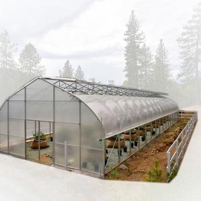 China Stable Structure Easily Assembled Single Span Plastic Sheet Greenhouse Low Tunnel China Agricultural Greenhouse Frame for sale