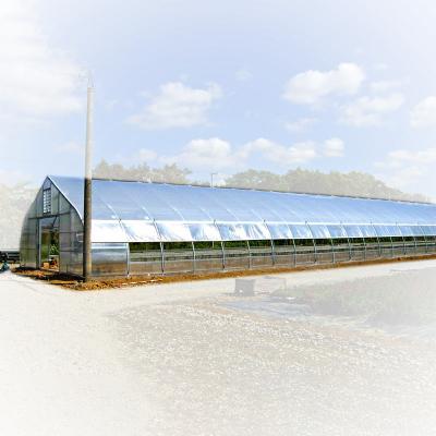 China Stable Structure Easily Assembled Single-span Greenhouse Equipped Ebb And Flood Tray Tunnel Film Greenhouses For Planting Vegetable for sale