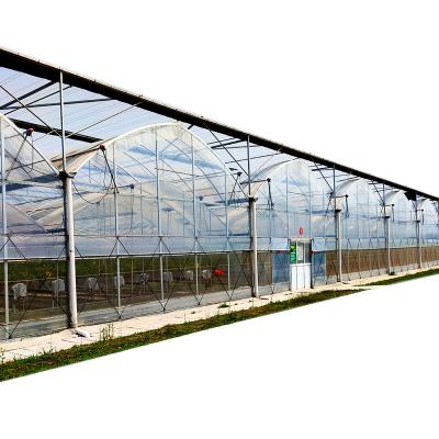 China Stable Structure Easily Assembled Thermal Control For Greenhouses Eden Polycarbonate Sheet Offer Multi-span Greenhouse for sale