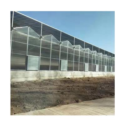 China China Large Size Polycarbonate Fruit Vegetable Sunlight Sunlight Outdoor Solar Panel Greenhouse for sale