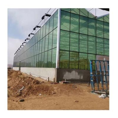 China Agriculture Vegetable Tomato Muti-span Cheap Price Flowers Fruits Hydroponic Photovoltaic Solar Panels Greenhouses For Sale for sale