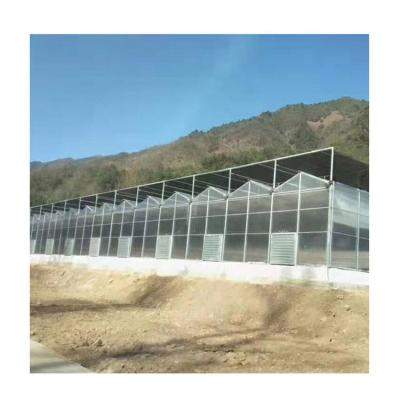 China China Vegetable Luxury Agricultural Solar Strawberry Greenhouse Commercial Flower Fruit Solar Panels Greenhouse for sale