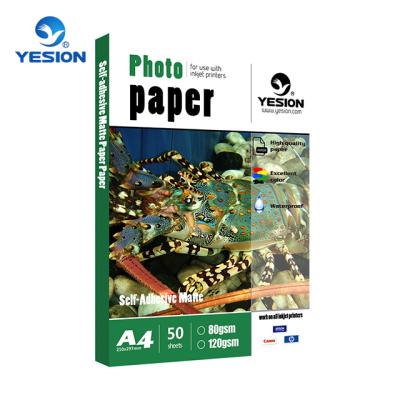 China 135gsm High Glossy Photo Paper For HP Printers , Glossy Sheet Sticker Photo Paper Sheet And Roll for sale