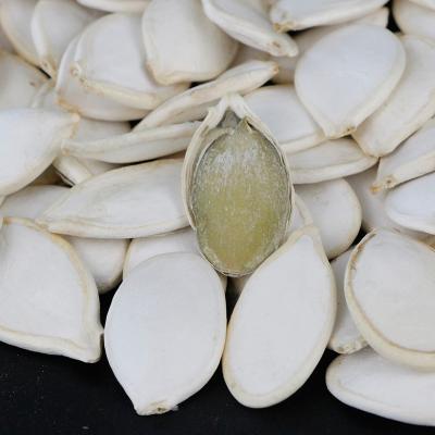 China Dried Hot Sale Grown Pumpkin Seeds In The Shell for sale