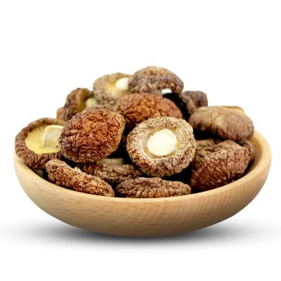 China Shii-plug Mushrooms Export Pearl Mushroom Dried Wild Dry Mushroom for sale