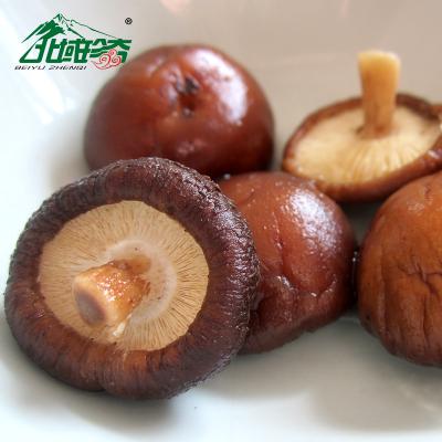 China Mushroomsmushrooms dry fresh mushroom made in china cheap top quality hot sale fresh mushroom price for sale