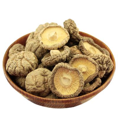 China Dried Mushroom Wholesale Top Cheap Competitive Price for sale