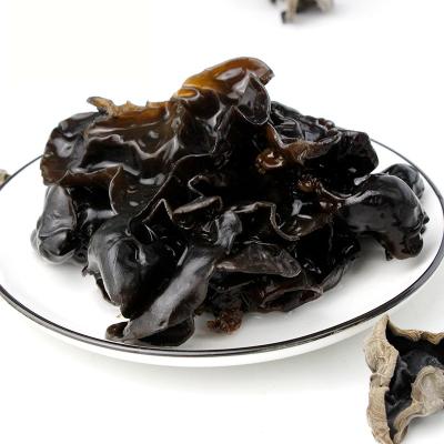 China Factory Wholesale Natural Chinese Agaric Food Hothouse Dried High Quality Dried Agaric, No Extra Meat Wild Black Agaric for sale