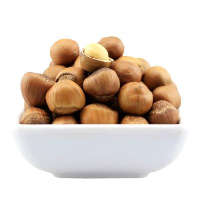 China Nutritious the hazelnut of the northeast, mountain hazelnut for sale