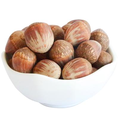 China Large Dry Northeast Hazelnut, Mountain Hazelnut for sale