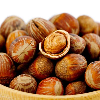 China Suppliers Dried Roasted Hazelnut Kernels Good Quality Wild Hazelnuts for sale