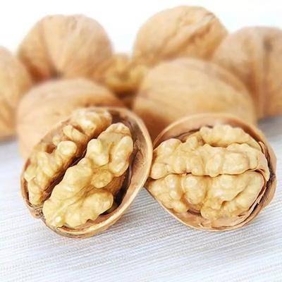 China Wholesale New Dried Walnut Nut Snacks For Prone Nut Manufacturers for sale