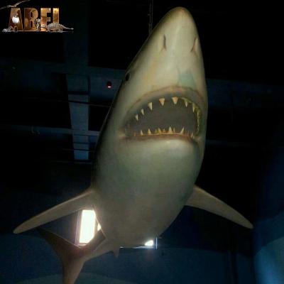 China Life Size Ocean Shark Theme Park Decoration Fiberglass Realistic Animaltronic Silicone Animal Model for sale