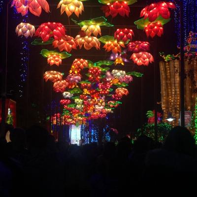 China Theme/Amusement Park New Year, Christmas, Halloween, Thanks Giving, Spring Festival & Lantern Festival Decoration Lights Art for sale