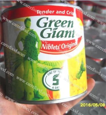 China Canned tinned corn for supermarket original corn in Fujian square food for sale