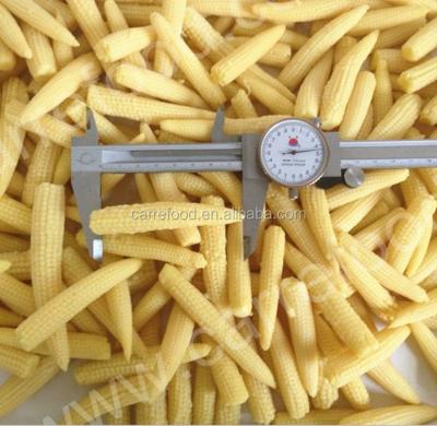 China baby canned young corn 400 grams/baby fresh sweet corn cobs/canned whole baby young corn for sale