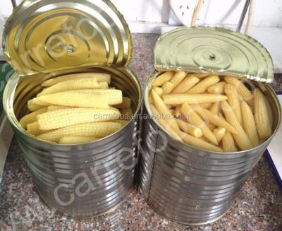 China Organic canned corn on the cob with younb baby fresh canned corn on the cob for sale