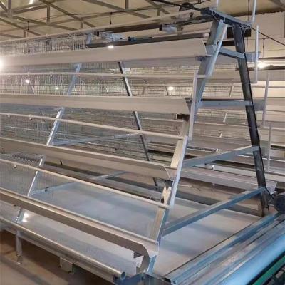 China Cultivate Automatic Chicken Poultry Equipment Chicken Egg Cultivating Chicken Farm Equipment Price for sale