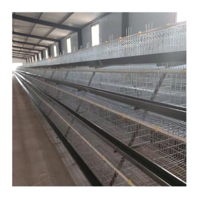 China Good Price Semi Automatic Manual Farms Egg Layer Poultry Equipment A Type Chicken Farm Cage for sale