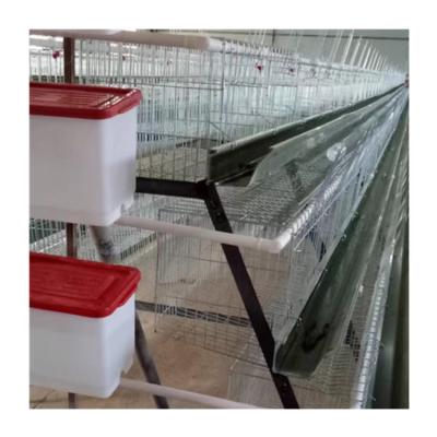 China Automatic Poultry Farm A Type System Chicken Layer Cage Farms For Egg Production for sale