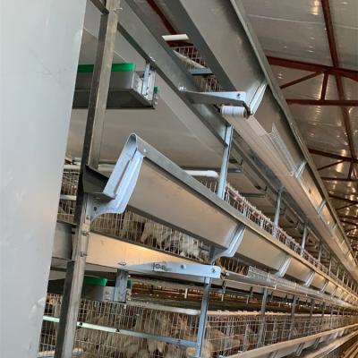 China Farms One Type Battery Layer Chicken Cages Poultry Farming Equipment Automatic System Multifunction Supplied Eggs Chicken For Sale for sale