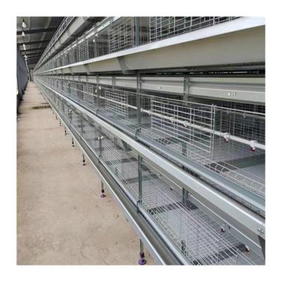 China Total Automatic Battery Chicken Egg Layer Farms Poultry Farms Modern Design H Type Cage for sale