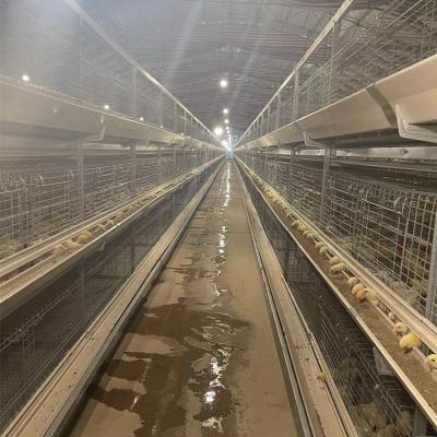 China 2023 New Product Automatic Chicken Farms Chick Battery Cage Chicken Multifunctional Supplied Chicken Machine Farm Chicken Baby Layer for sale