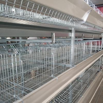 China Farms Good Price Commercial Chicken Feeding Equipment Automatic Battery Rig Poultry Cages For Sale for sale