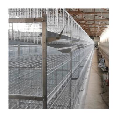 China Farms H Day Type Automatic Broiler Chick Battery Pullet Cage Baby Diaper Broiler for sale