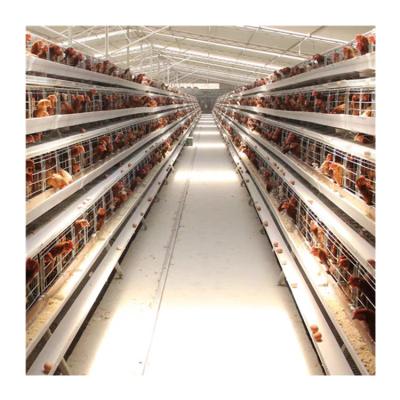 China Farms Good Prices Automatic Chicken Layer Poultry Farm Equipment Pullet Baby Chick Cage for sale