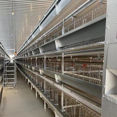 China Fully Automatic Farms H Type Laying Hen Egg Layer Battery Chicken Cages Equipment for sale