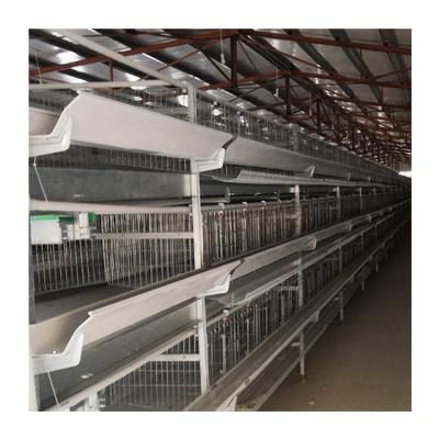 China Farms Automatic Poultry Farming Equipment Price Voucher Layer Chicken Cage System for sale