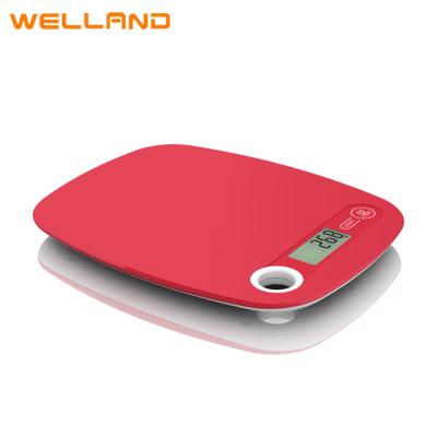 China WITH LID ultra thin kitchen scale kitchen weighting scale plastic scale with kitchen use for sale