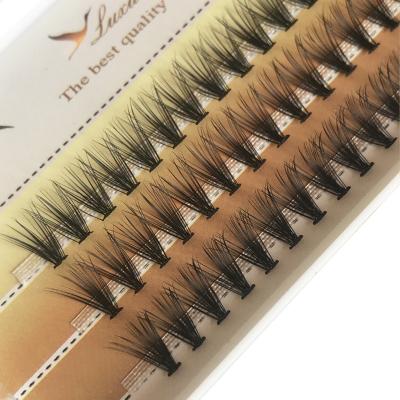 China Natural Heat Volume Eyelash Extension 20d Group False Eyelash Premade Glued Russian Eyelash Fans for sale