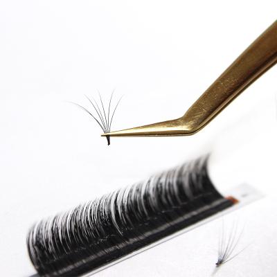 China Natural Easy Auto Lash Extension Trays Fanning Russia Volume Eyelash Extension Auto Fast Blooming Fast for sale