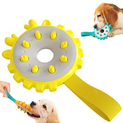 China Viable Bestselling Toothbrush Durable Molar Dog Ring Puppy Toyset Outdoor Dog Bite Training Amazon IQ Improve Frisbeed for sale