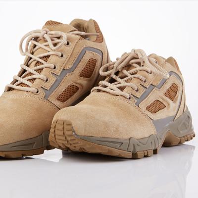 China Police lightweight running shoes, destert rubber pulsating shoes for sale