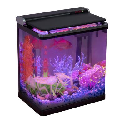 China Best Price Viable Ultra Clear Glass Rectangle Aquarium Mini Fish Bowl Desktop and Home Aquarium with Temperature Display for sale