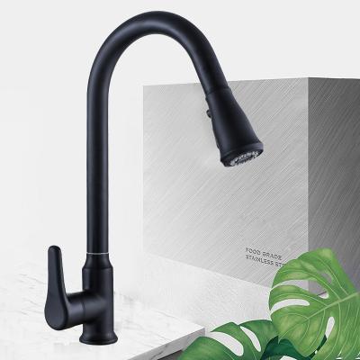 China Modern Sense Faucets Style 304 Stainless Steel Kitchen Faucets New Pull Out Pull Down Kitchen Mixer Sink Faucet Sink Kitchen Faucets With Sprayer for sale