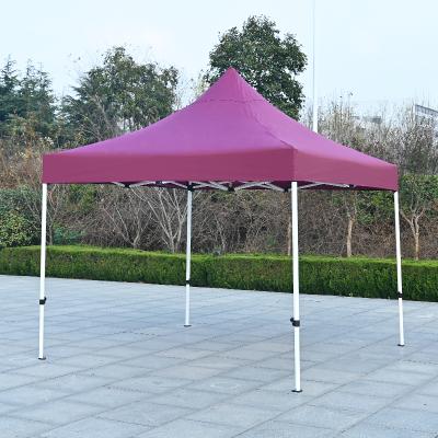 China Waterproof Outdoor 10X10 Wedding Marquee Gazebo Canopy Trade Show Tent for sale