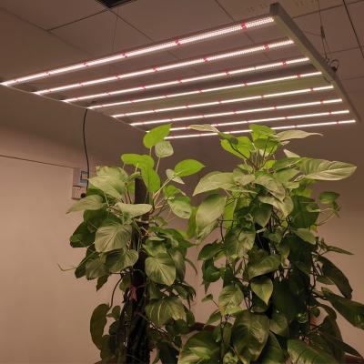 China Start From Seed Running To USA Factory Wholesale Custom Factory Price High Power 640W Indoor Foldable LED Grow Lights for sale